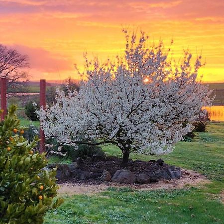 New Horizons Farm Stay Smeaton Екстериор снимка